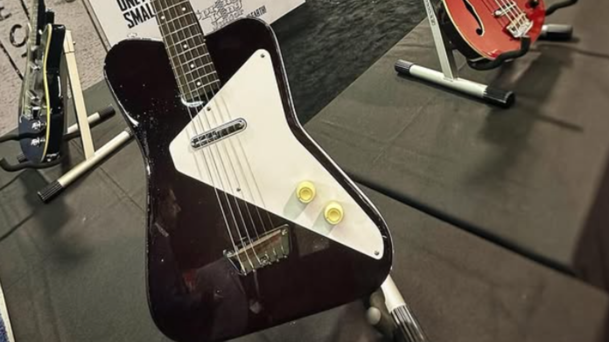 Dano - Une Danelectro Dano Pro 2025 à découvrir ?