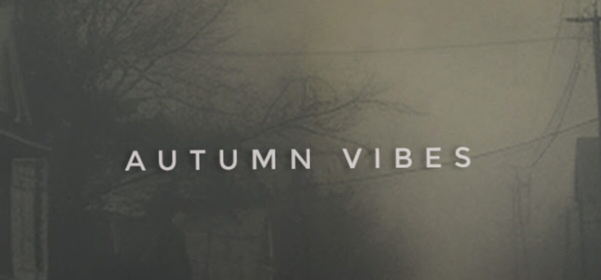 Promotions - Promotions Exceptionnelles Chez Wrongtools