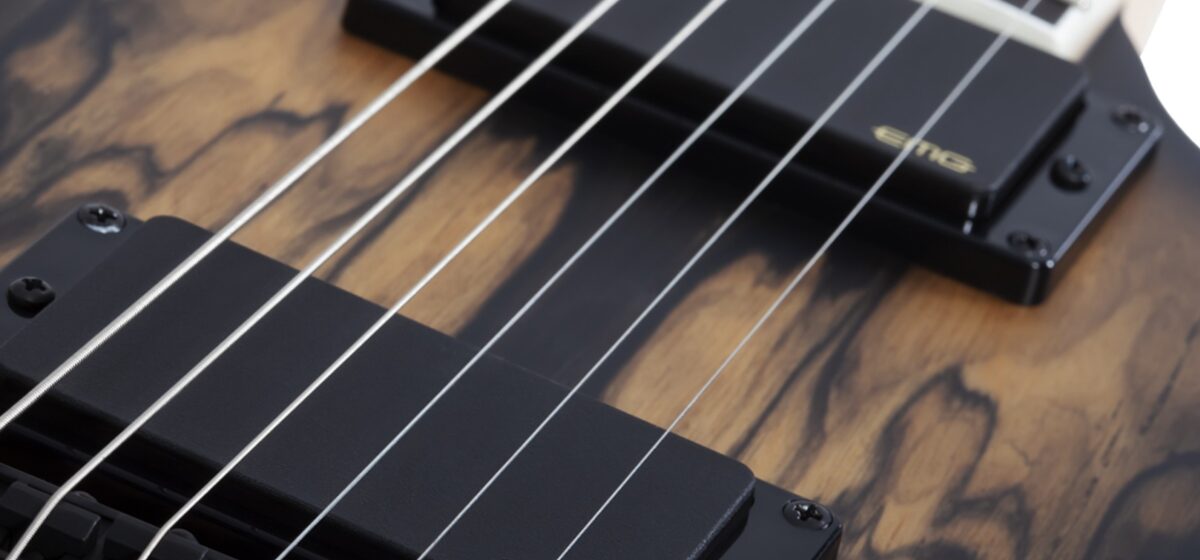 Modèle - Un Modèle Innovant au Design Unique de Wylde Audio