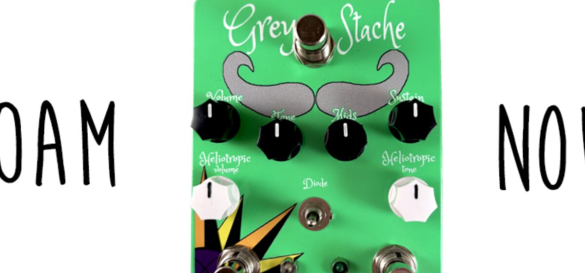Grey - Fuzzrocious présente la Grey Stache/heliotropic