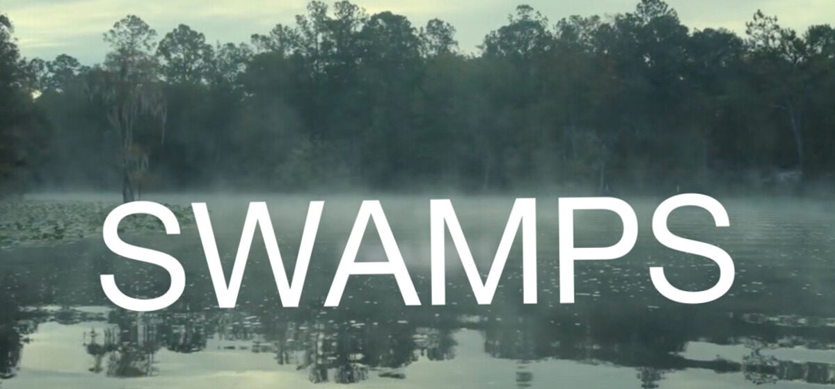Swamps - Boom Library lance Swamps, une collection d'enregistrements de marais