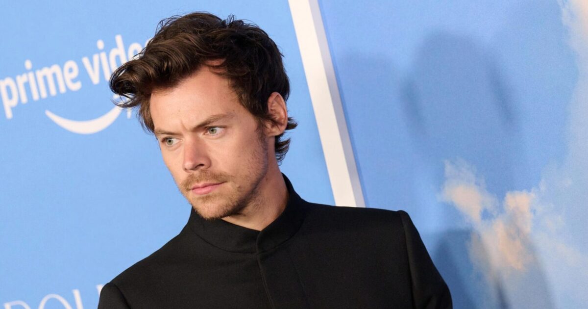 Retour - Harry Styles Envoie un Message Vocal à Ses Fans Semblant Annoncer Son Retour : « Nous Appartenons Ensemble »